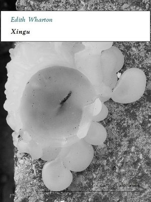 cover image of Xingu